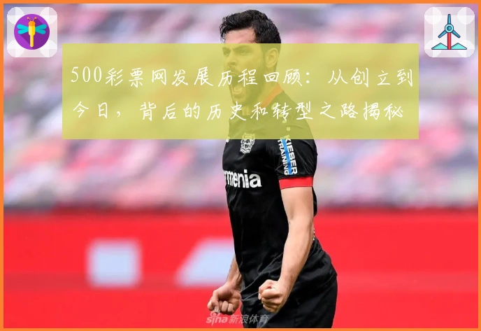 500彩票网发展历程回顾：从创立到今日，背后的历史和转型之路揭秘