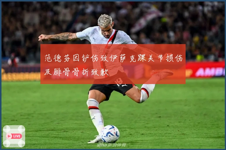 范德芬因铲伤致伊萨克踝关节损伤及腓骨骨折致歉