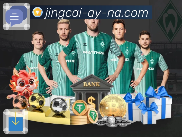 技术与服务优势